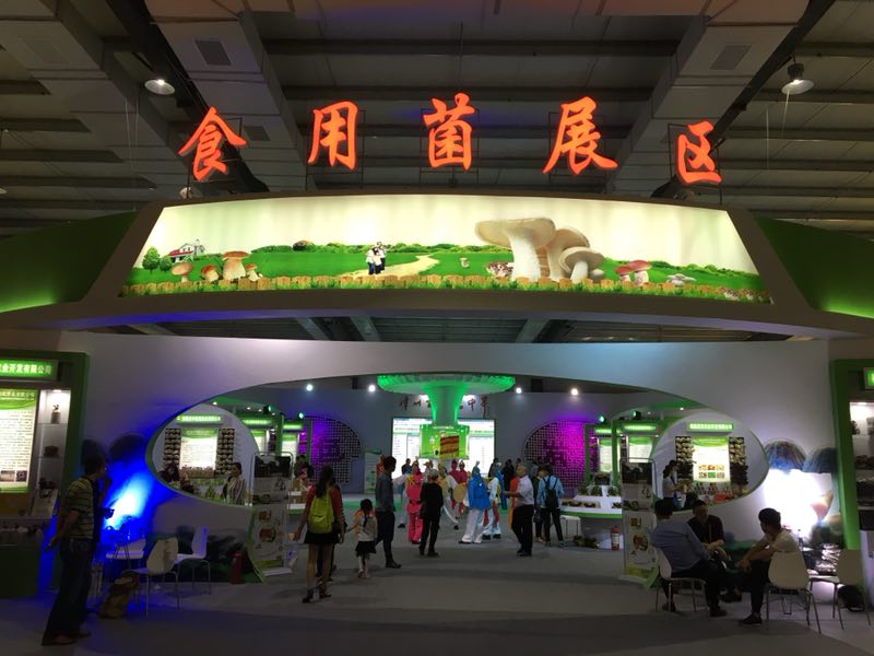 首页-KY开元游戏集团官网